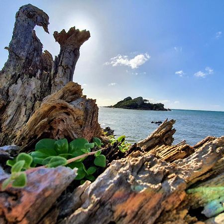 Goat Island Bungalow Ulverstone Buitenkant foto